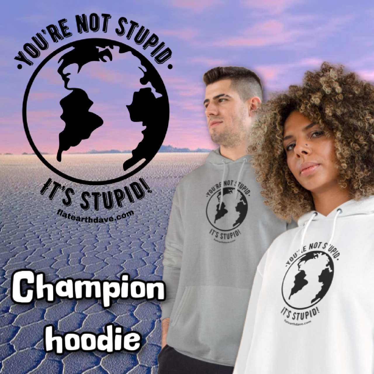 You're Not Stupid It's Stupid | Champion Adult  Hoodie