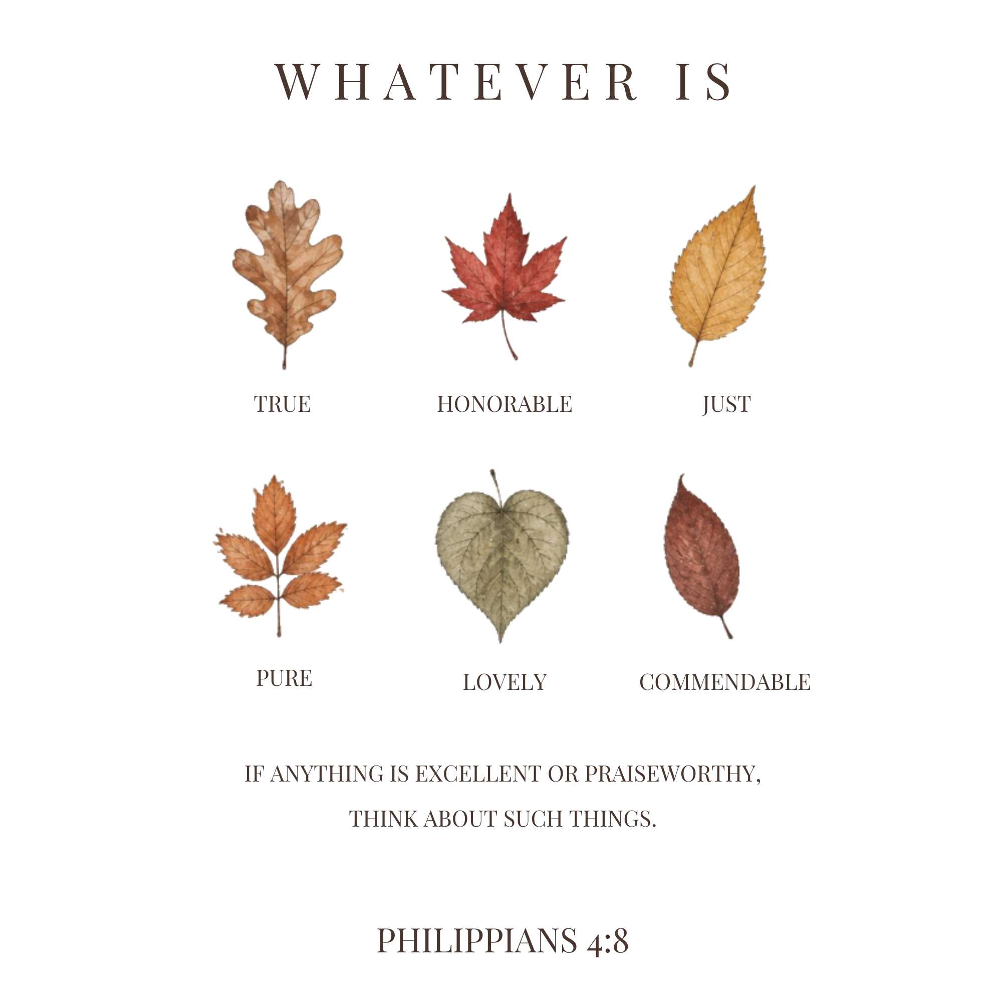Thanksgiving Christian Greeting Cards Philippians 4:8 | Autumn Leaf Design, Scripture Note Cards with Envelopes, Set of 8, 16 or 24 – 8 pcs, Matte, 4.25” x 5.5”